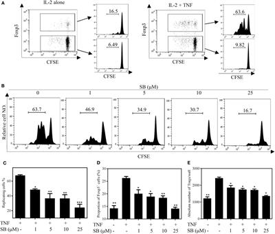 The p38 MAPK Inhibitor SB203580 Abrogates Tumor Necrosis Factor-Induced Proliferative Expansion of Mouse CD4+Foxp3+ Regulatory T Cells